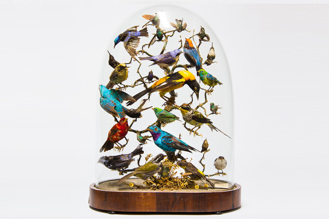 An impressive early 19th century taxidermy display of exotic birds under glass dome. Price realised £1,750.