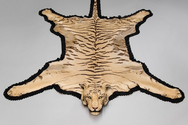 An early 20th century taxidermy Tiger skin rug mounted by Van Ingen & Van Ingen of Mysore. Price realised £2,100.