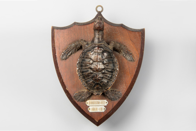 An unusual early 20th century taxidermy Sea turtle upon oak shield. Plaque inscribed “ASCENSION 1910-13”. Price realised £1,000.