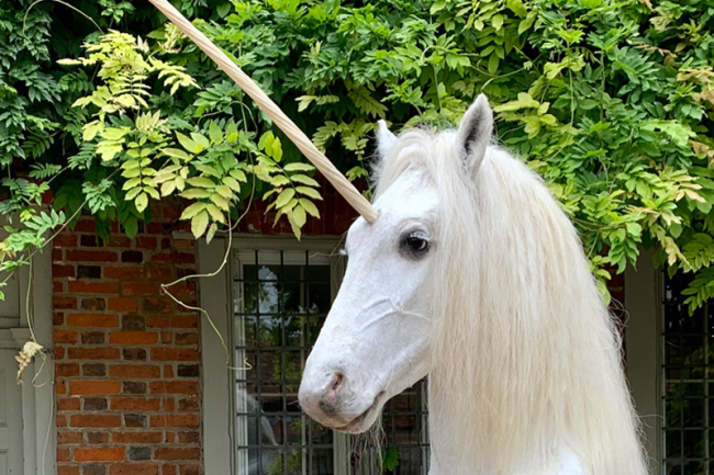 Mythical taxidermy unicorn pedestal mount. Price realised £4,000.