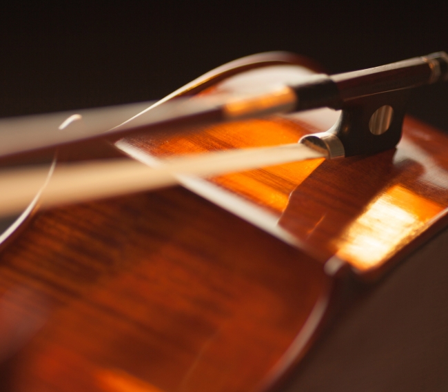 Violins & Stringed Instruments