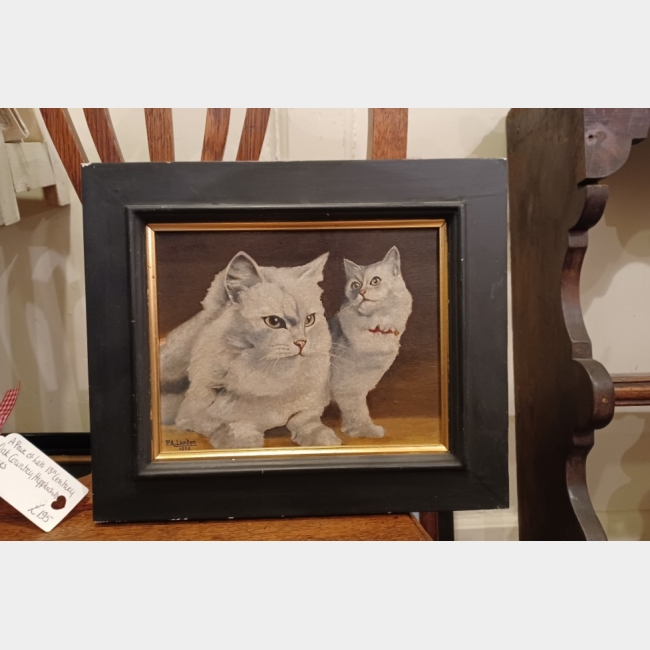 Oil on Board of Cats