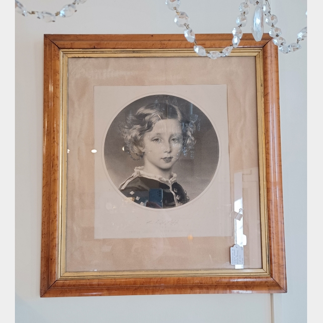 Large Engraving of Prince Albert in Maple Frame