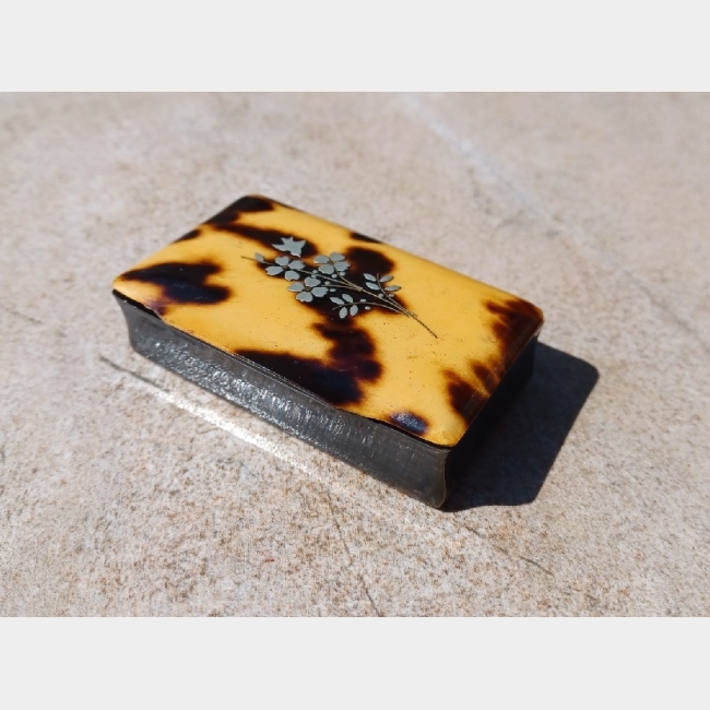 Tortoiseshell & Silver Snuff Box