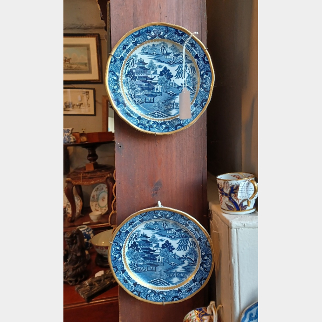 Davenport Willow Pattern Cabinet Plates