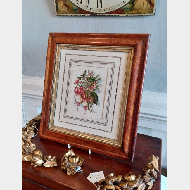 Original Watercolour 1877 in maple frame