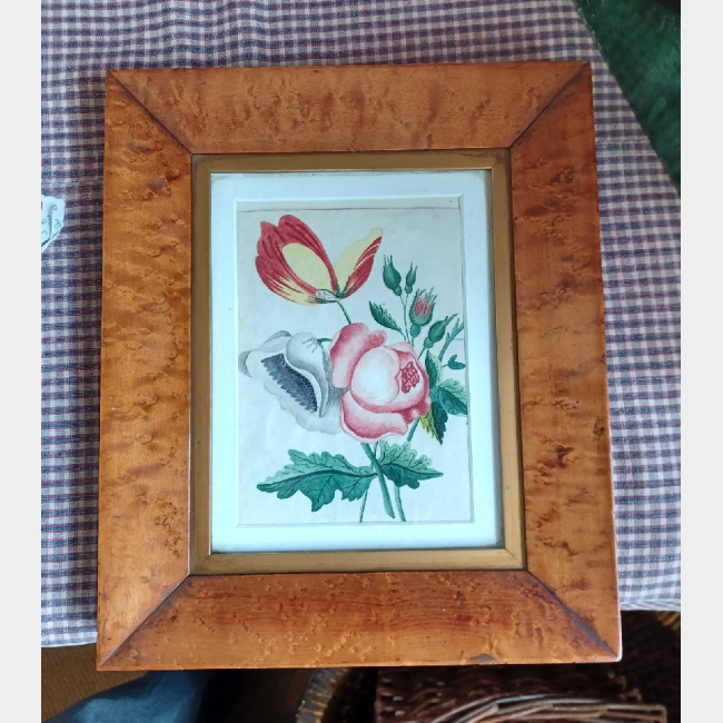 Watercolour in Maple frame
