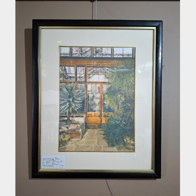 Framed Risograph of Kew Gardens