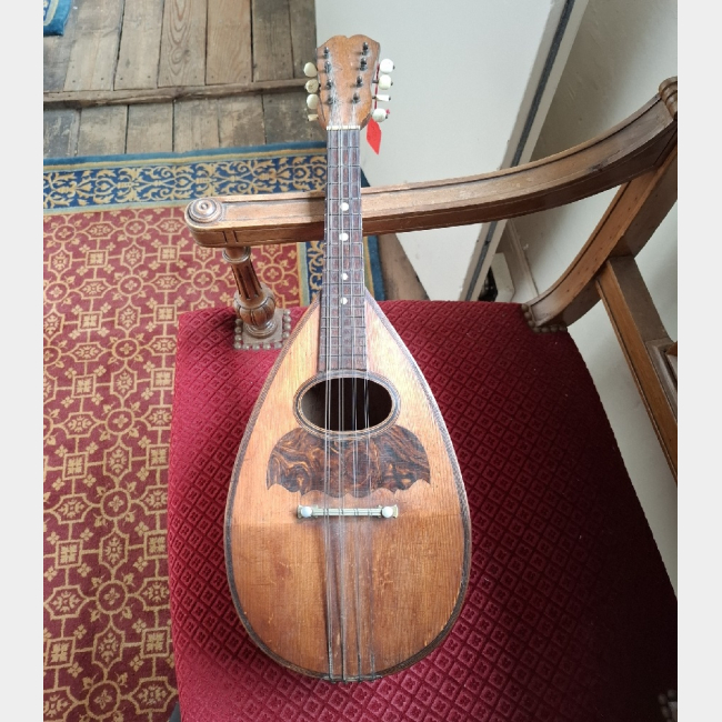 Mandolin