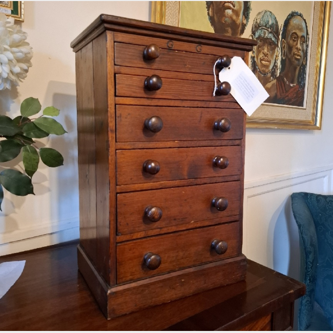 Victorian Pine Specimine Chest