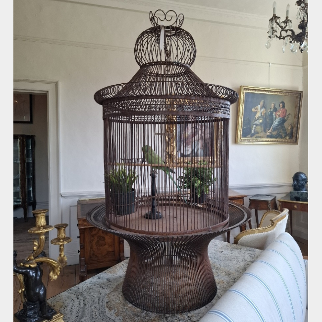 Large Birdcage with taxidermy bird