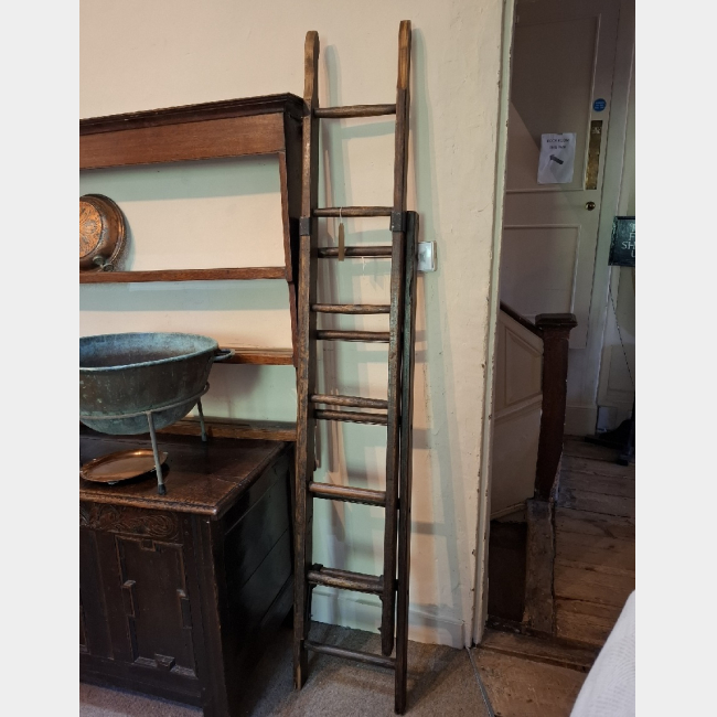 Oak Library Ladders